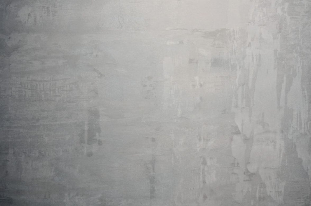 Finisaj decorativ Illusion Silver Moldova